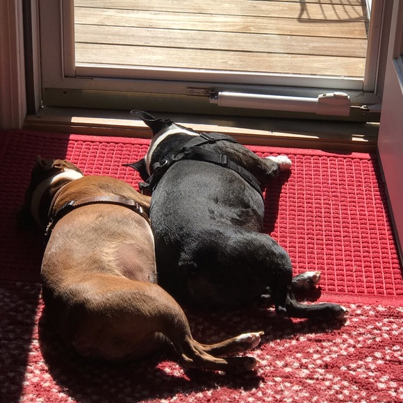 Meet your Posher, Lori - Picture 9 of 16